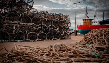 My two-week road trip around Scotland as a hobby photographer is almost coming to an end. Just wanted to say thank you and share a few of my favourite photos so far. Hopefully to bring you some joy.