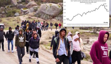 Here's how much illegal immigrant population plummeted under Trump