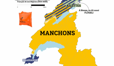 Brassards, manchons ou flotteurs? Ce que disent les mots de nos étés romands