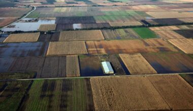 EU fines Greece €400M over farm aid debacle – POLITICO