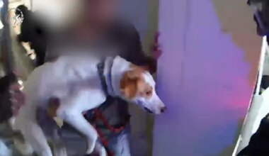 Watch: Officers rescue residents and pets after missile strike in Tel Aviv