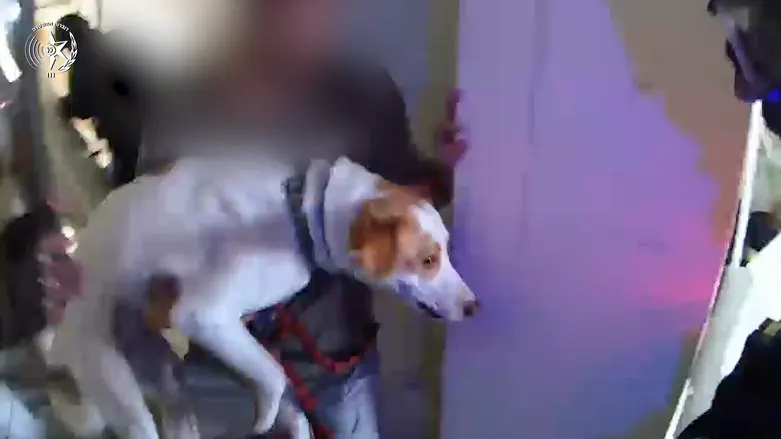 Watch: Officers rescue residents and pets after missile strike in Tel Aviv