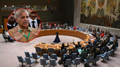 Pakistan's demand to chair 4 UN terror-related panels snubbed, finally given only one