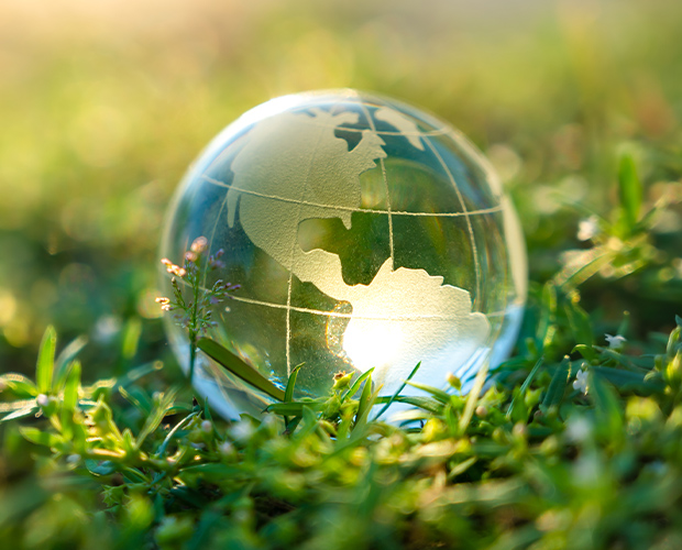 A German Court Goes Green? Recent Developments in German Climate Litigation – Publications