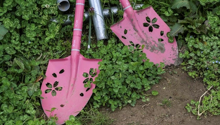 This photo taken on April 24, 2025, shows shovels on a plot of land managed by a company hoping to revitalise agriculture in the area by growing kiwi fruit in the town of Okuma, Fukushima prefecture. — AFP