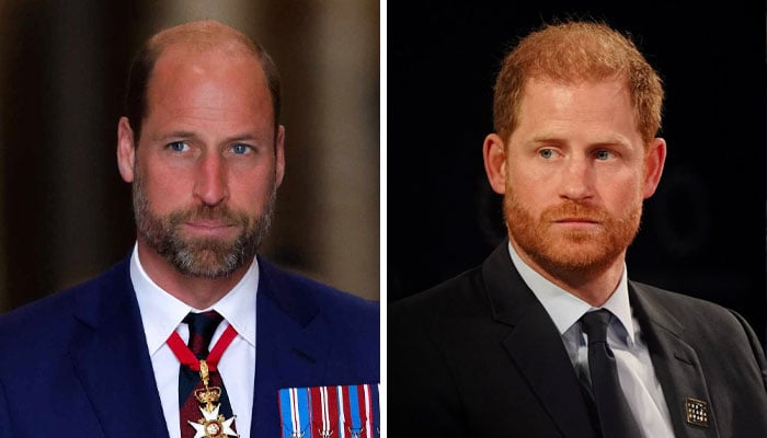 Prince William gives unexpected reply Prince Harry reconciliation plea