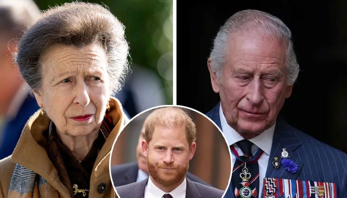 Princess Anne makes surprising plea to King Charles about Prince Harry