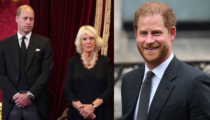 Prince Harry breaks silence on duty after Prince Williams emotional message