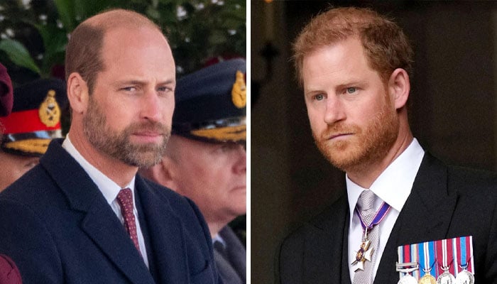 Prince William, Prince Harry’s emotional letter emerges amid bitter rift