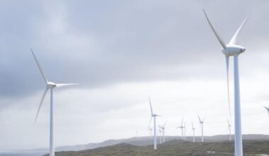 Poland’s BGK commits to Eiffel EU renewable energy projects fund | News