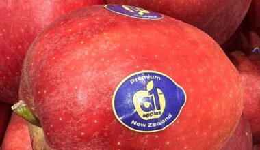 New Zealand apple industry hails ‘best season’ in long time | News