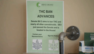Texas politics: Bill banning THC awaits Gov. Greg Abbott's signature