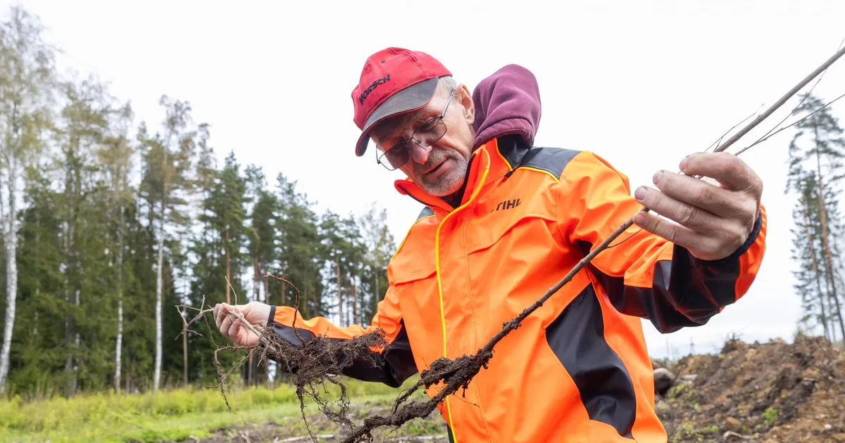 Saksamaalt toodi Eesti arukase pähe tundmatuid praakistikuid