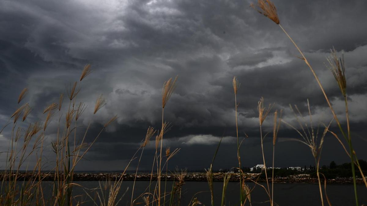 Warning to NSW as certainty of dangerous storm heading straight towards east coast rises