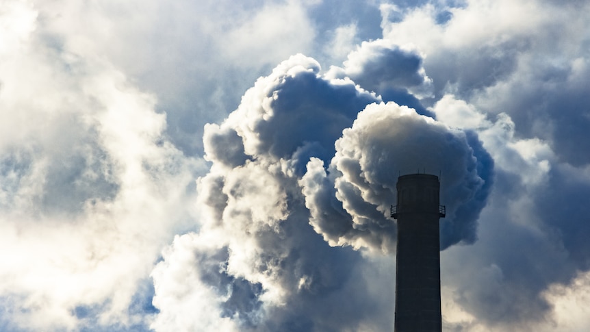 Climate stability will require carbon removal on a large scale — are the existing methods up to the task?