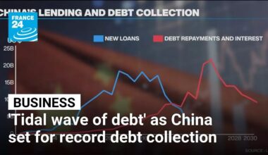 Developing countries face 'tidal wave of debt repayments' to China, report shows • FRANCE 24