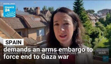 Spain demands an arms embargo to compel the Gaza War's termination. • FRANCE 24 English