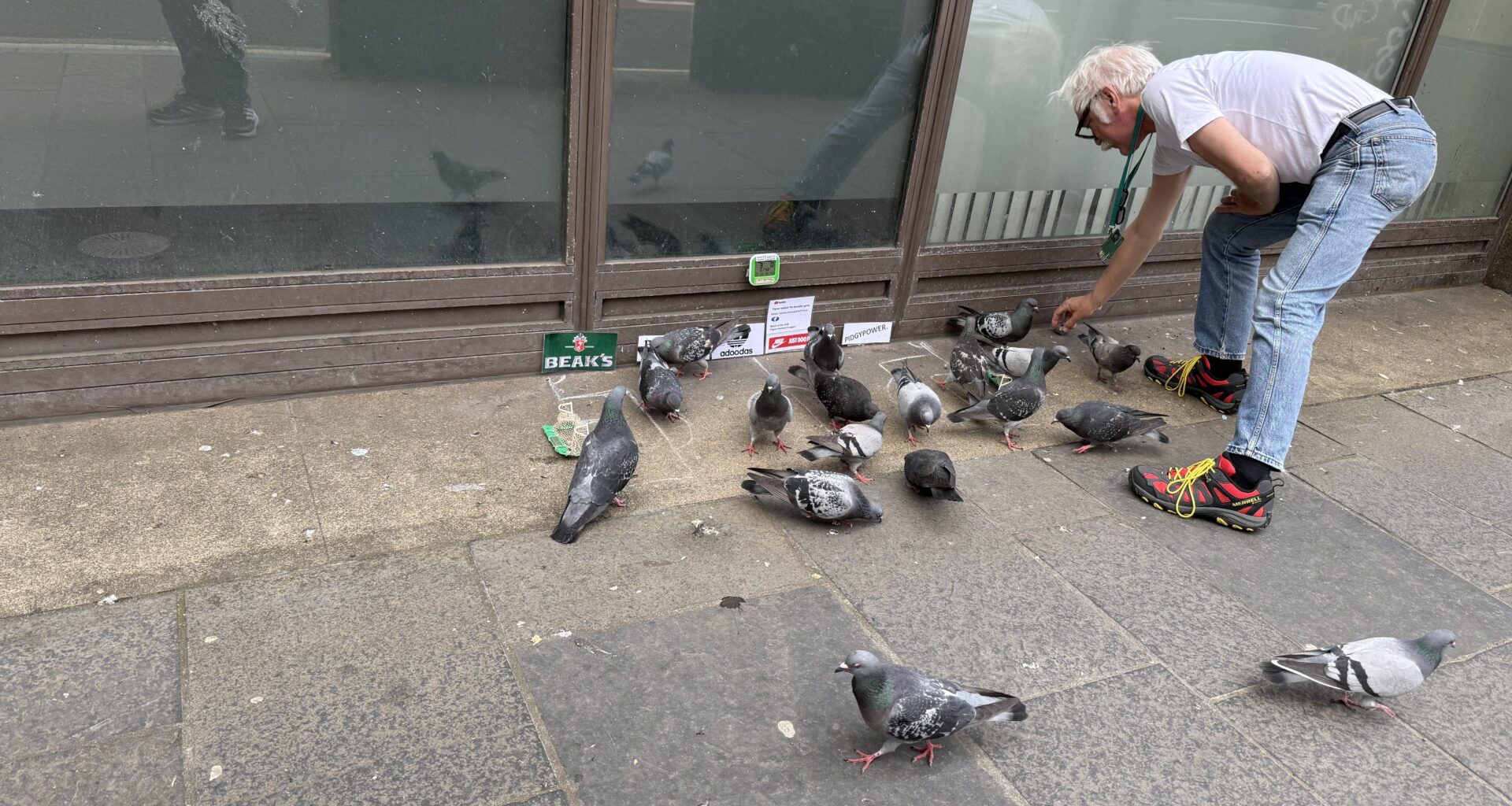 I have just seen a man in Glasgow running a pigeon football match on the pavement with pigeon themed sponsors.