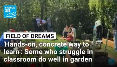 Vegetable Garden World Cup: 'We all need to reconnect with nature and our health' • FRANCE 24