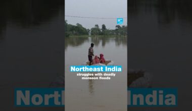Northeast India struggles with deadly monsoon floods • FRANCE 24 English