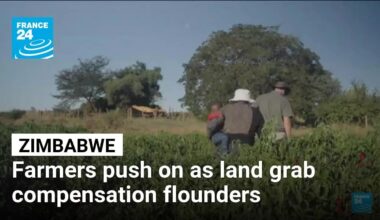 Zimbabwe's farmers push on as land grab compensation flounders • FRANCE 24 English