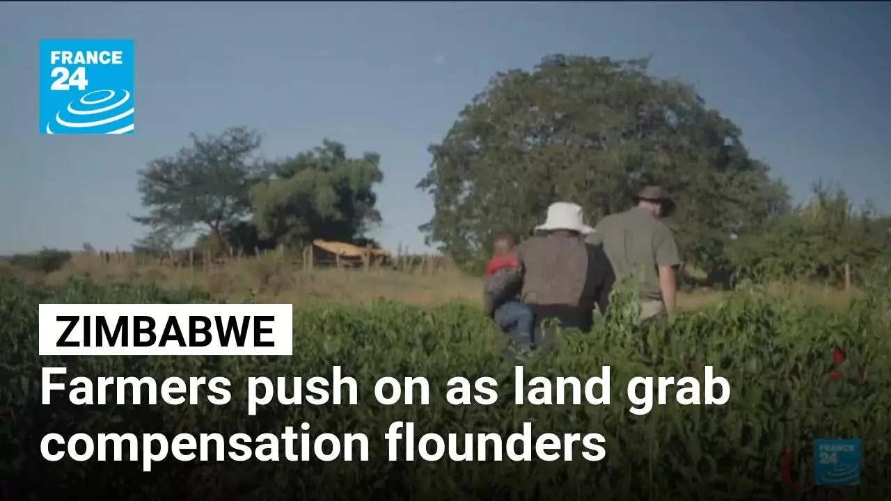 Zimbabwe's farmers push on as land grab compensation flounders • FRANCE 24 English