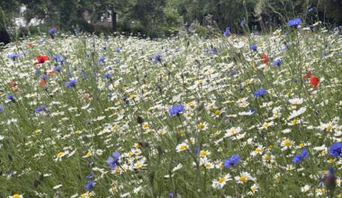 Duncan Terrace & Colebrooke Row Gardens: Islington