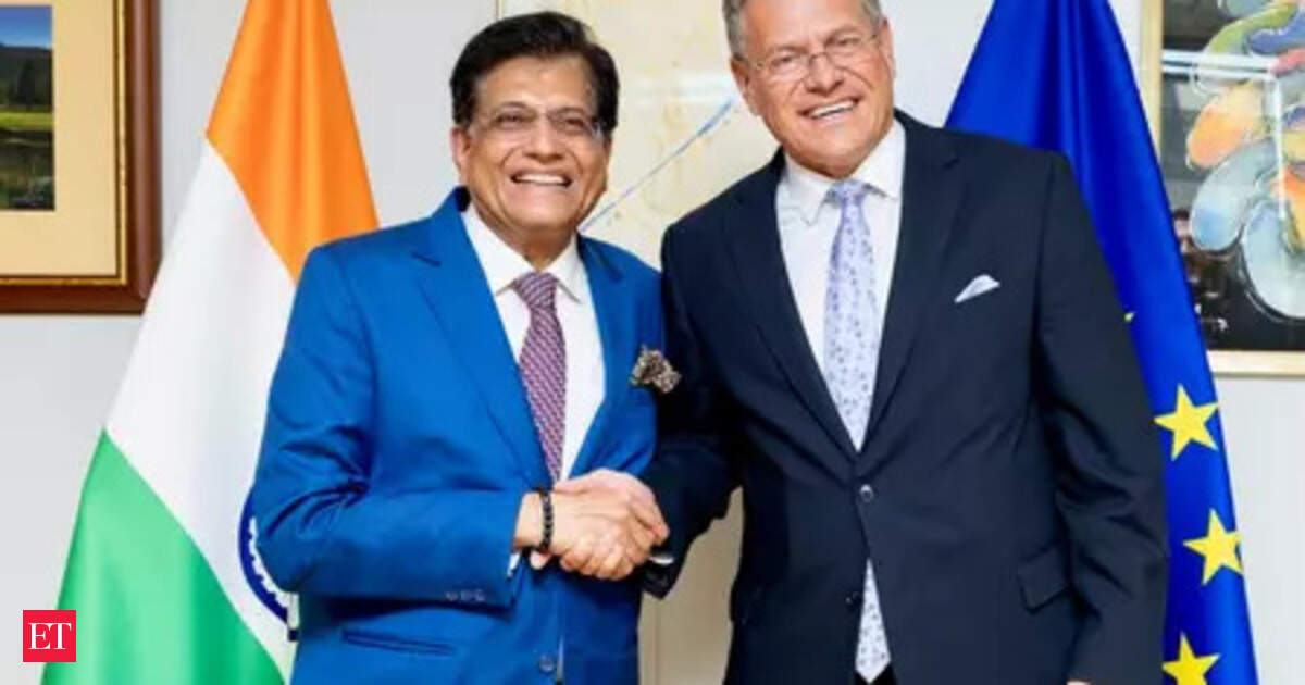 India, EU may go for comprehensive FTA; investment, GI pacts to follow later