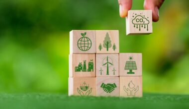 Voluntary carbon market hits 6 year low, but demand signals underlying strength | NEWS