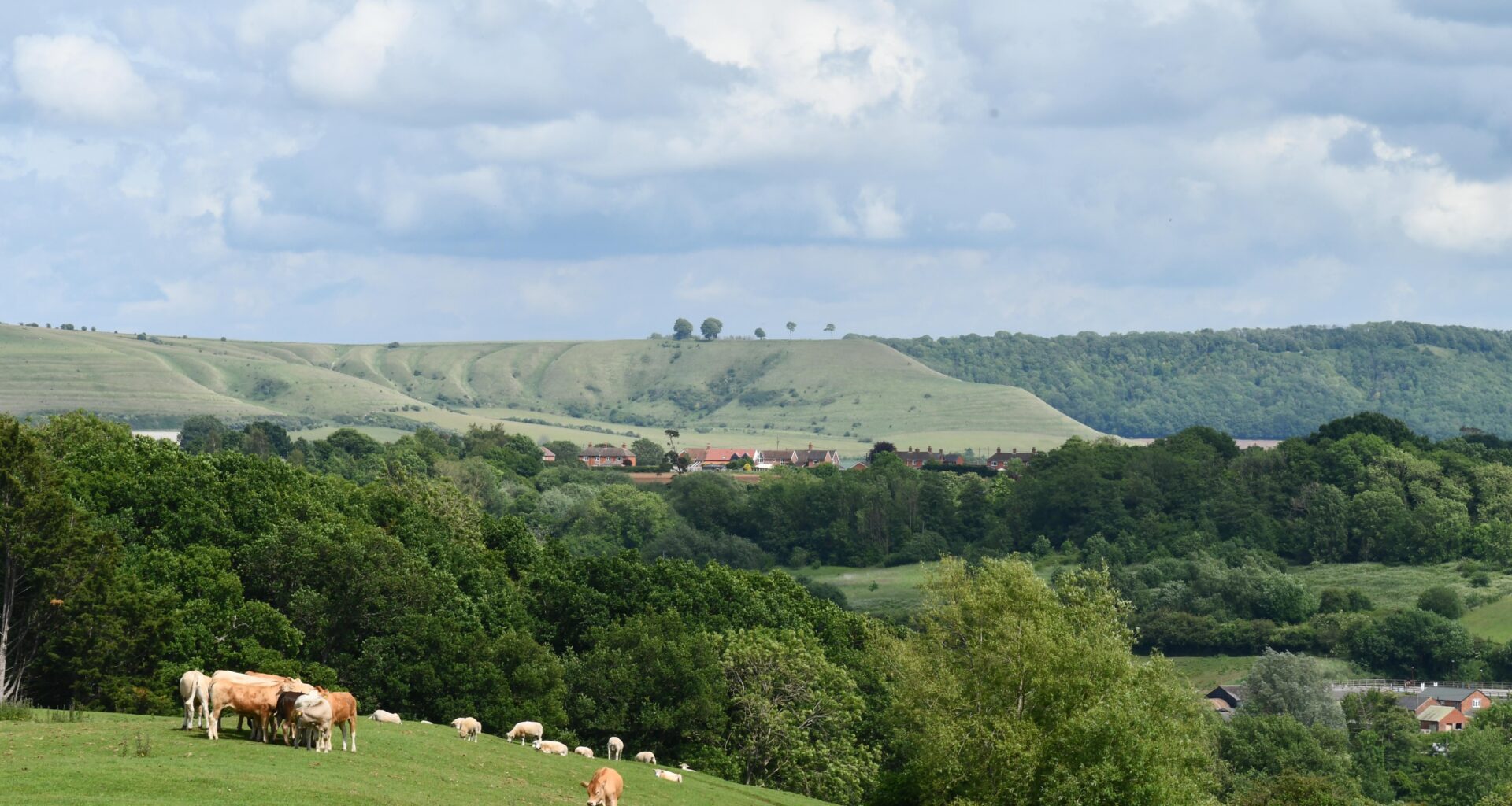 The UK's only hydrological 'triple divide' - Roundway Hill, Wiltshire.