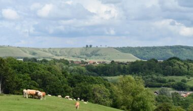 The UK's only hydrological 'triple divide' - Roundway Hill, Wiltshire.