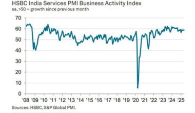 India's services PMI growth continued in May; employment hits record high: HSBC PMI
