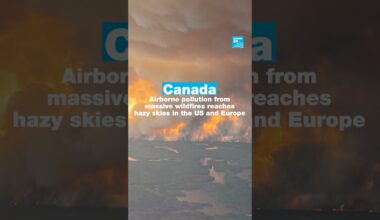 Airborne pollution from wildfires in Canada reaches hazy skies in US and EU • FRANCE 24 English