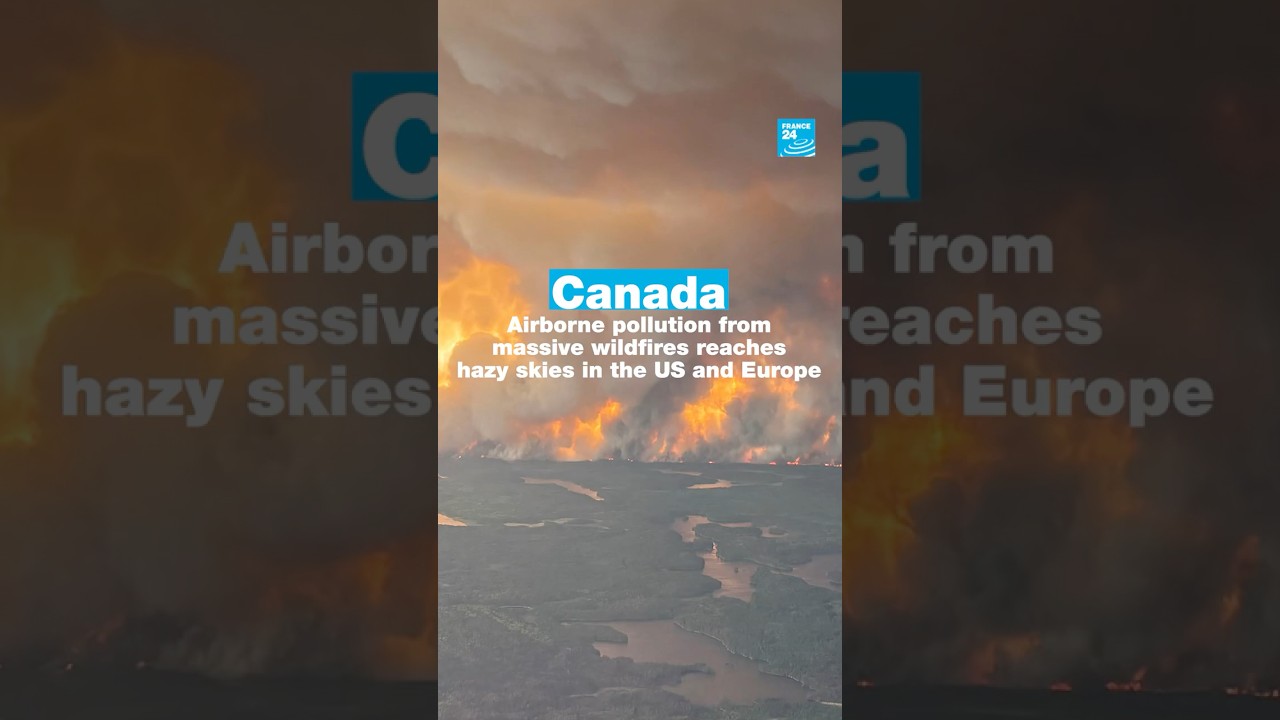Airborne pollution from wildfires in Canada reaches hazy skies in US and EU • FRANCE 24 English