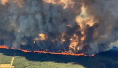 La fumée des incendies canadiens atteint l’Europe et les États-Unis • FRANCE 24