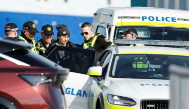 Activists charged for protest aboard Hvalur whaling ships