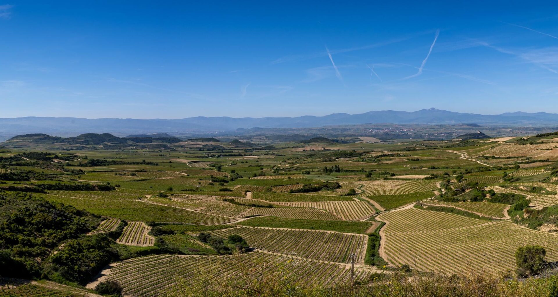 La Rioja (Taken from Abalos, LoRes file, 3 panel stitch)