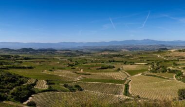La Rioja (Taken from Abalos, LoRes file, 3 panel stitch)