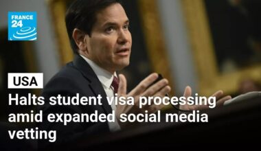 US halts student visa processing amid expanded social media vetting • FRANCE 24 English
