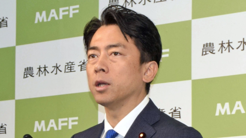 Farm minister suggests emergency imports could cut Japan rice prices