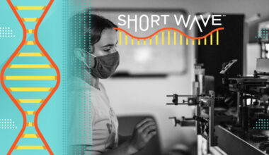 The power of olo, a color created by science : Short Wave : NPR