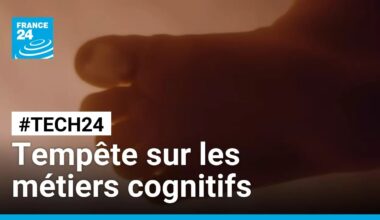 Ce film tiré d'une histoire vraie que vous ne verrez sans doute jamais au cinéma • FRANCE 24