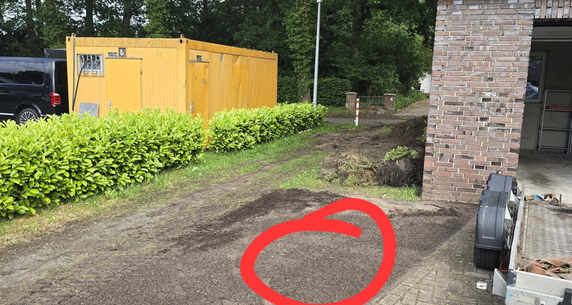 Baumempfehlung gesucht