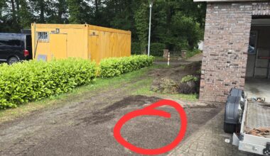 Baumempfehlung gesucht