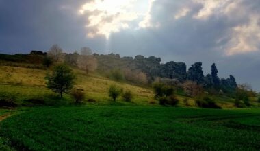 Mystischer Harz: Teufelsmauer