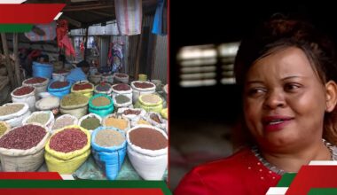 Josephine Njoroge: Meet Kenyan Entrepreneur Who Started Multimillion Business with KSh 2,900