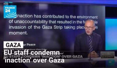 EU staff condemn 'inaction that resulted in the full-scale invasion of' Gaza • FRANCE 24 English