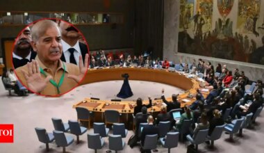 Pakistan's demand to chair 4 UN terror-related panels snubbed, finally given only one