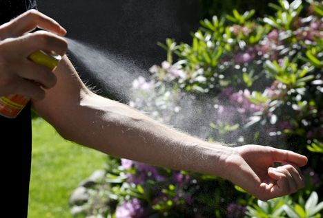 Seuraavat kaksi viikkoa ovat ratkaisevassa roolissa siinä, millainen hyttyskesä on luvassa.