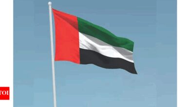 UAE's Ali Rashid Al Nuaimi meets Brazil and Belarus leaders to boost bilateral cooperation and strategic ties | World News